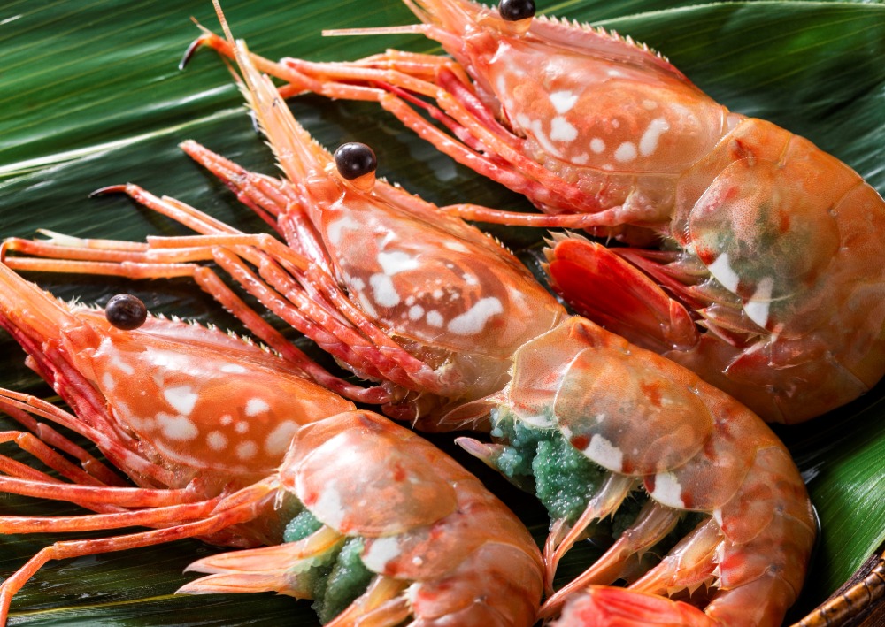 北海道噴火湾産ボタン海老メス大　約11尾/PACプロトン凍結500g