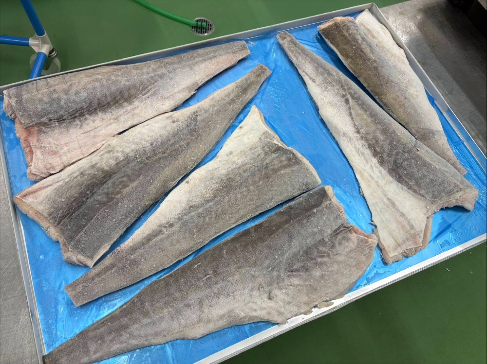 北海道産　真鱈フィーレ腹骨取11/15枚　ツーフロ　10kg