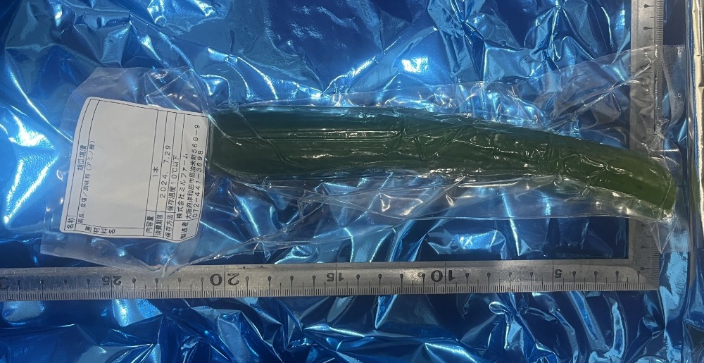 きゅうりの1本漬け　浅漬け　個包装　※コレクト不可