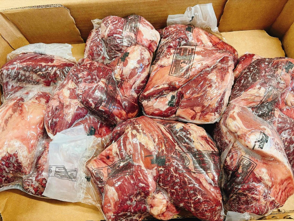 �n���M���O�e���_�[US�Y�@���T�K���Ⓚ�@�n���~