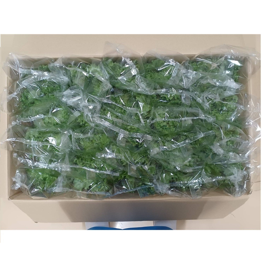 「幸せレタス」フリルレタス（個包装）