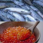 �X�܎ʐ^�E���S