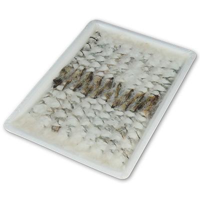 �L�΂�����(BT21/25)18��