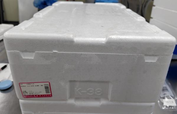 塩さんま（秋刀魚）45尾入