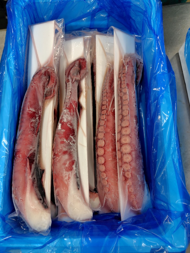 極上　岩手県産　水ダコ　足　ボイル