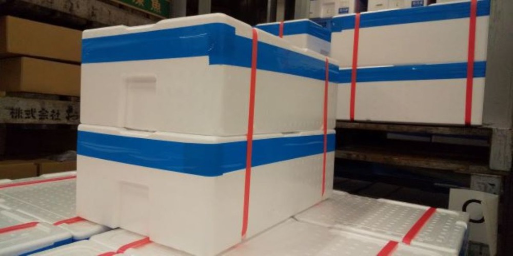 いかポッポ煮（ボイルイカ串）1本100ｇ　50串入