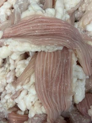 �a���@�����@�V�}�`���E�@�咰�@�e�b�`�����@