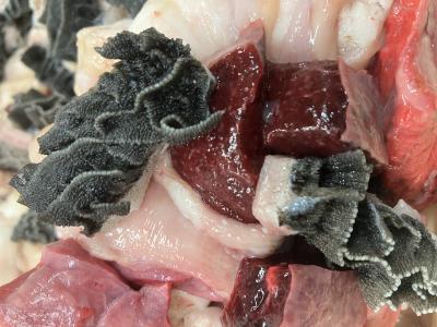 �ߍ]���~�b�N�X�z�������@�咰�@�x�@�A�J�Z����1����x4��