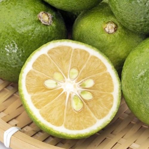 かぼす　手しぼり　果汁100％