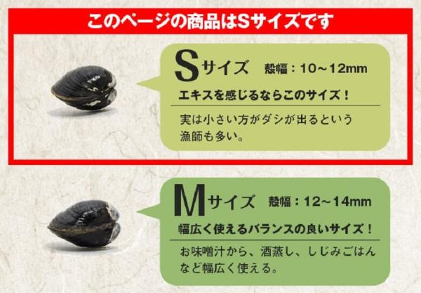 大容量S14kg　冷凍宍道湖産しじみ砂抜き済　バラ凍結