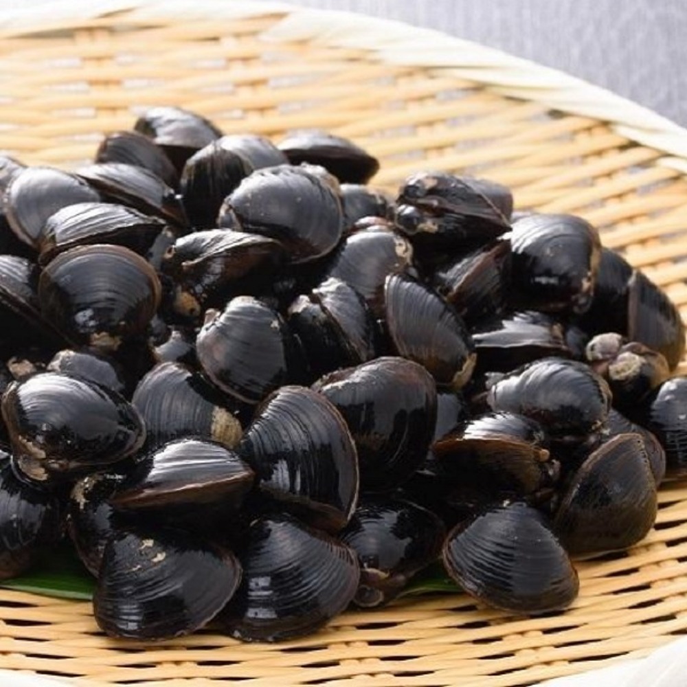 �y�����ʁz�y���[�����X�l���������z�Ⓚ�����ΎY������S14kg�@��������