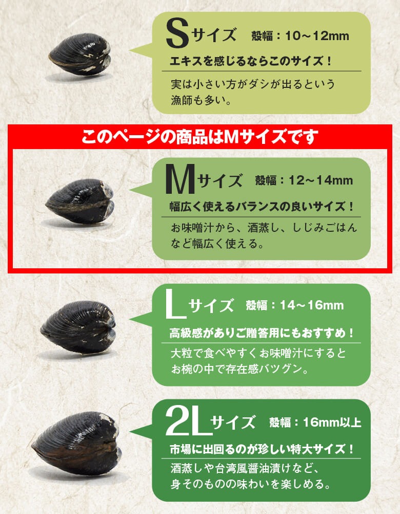 大容量M14ｋｇ　冷凍宍道湖産しじみ砂抜き済　バラ凍結