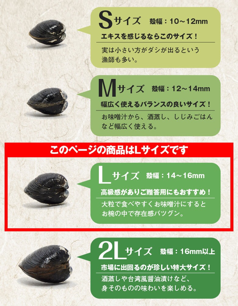 【大粒14〜16ミリ】宍道湖産しじみL　900g(砂抜き済)バラ凍結
