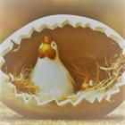 �X�܎ʐ^�E���S