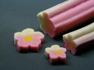 �X�܎ʐ^�E���S