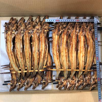 �Ă����q���@�T���h���@��250�i��230�`250���j/��x10��