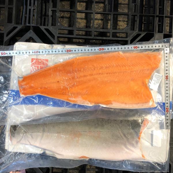 【生食可】銀鮭フィレ〈トリムＣ〉　10枚/10kg（約1Kg/枚）