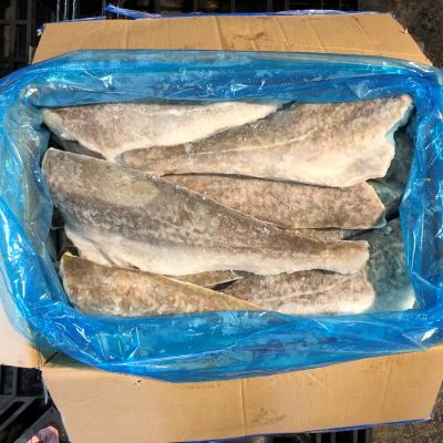 �y�������z�}�_���t�B���@16/20�i16�`20���j/10kg�i��500g/���j