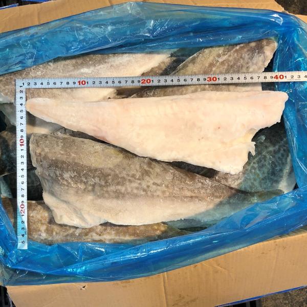 【骨無し】マダラフィレ　16/20（16〜20枚）/10kg（約500g/枚）