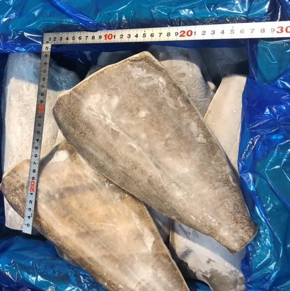 カラスガレイ〈ドレス〉500/1000（500ｇ〜1kg）約15枚/10kg