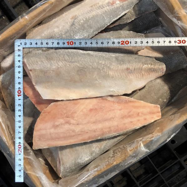 【骨無し】アジフィレ　20枚/5kg（約250g/枚）