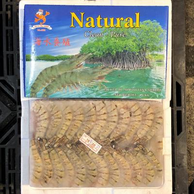 �����u���b�N�^�C�K�[�@16/20�i��72��/1.8kg�j