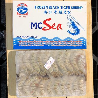 �����u���b�N�^�C�K�[�@13/15�i��56��/1.8kg�j