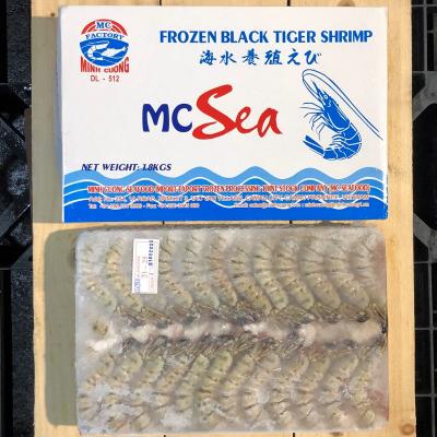 �����u���b�N�^�C�K�[�@21/25�i��92��/1.8kg�j