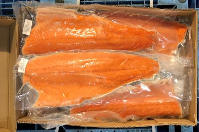 �y���H�z����t�B���q�g�����b�r�@10��/10kg�i��1Kg/���j