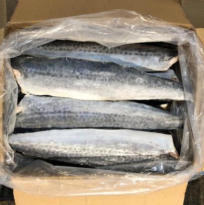 �T�S�V�t�B���@15��/4kg�i��260g/���j