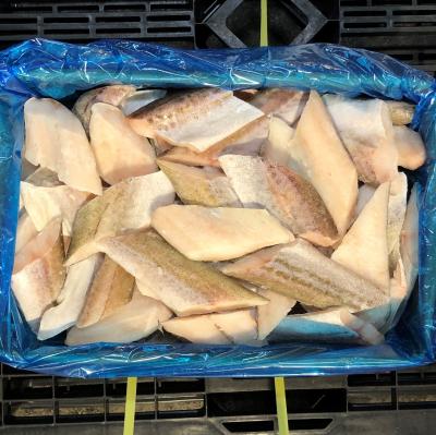 �y�������z�^���؂�g�@�V�Og�i70�؂����j