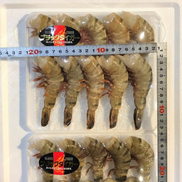 【海水養殖】無頭ブラックタイガーパック　13/15（10尾/パック）