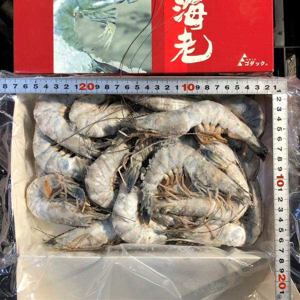 【究極の刺身】天使の海老　20〜30尾/１kg