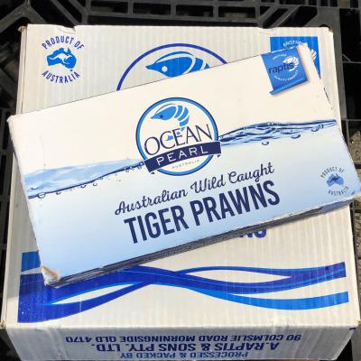 �yOceanPearl�z�L���I�[�X�g�^�C�K�[�C�V9-12/1.5kg(��34��)x�U