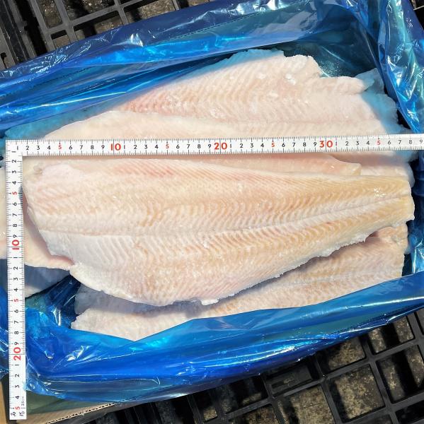 【骨・皮無し】カラスガレイ　7-10枚/５kg（約600ｇ/枚）
