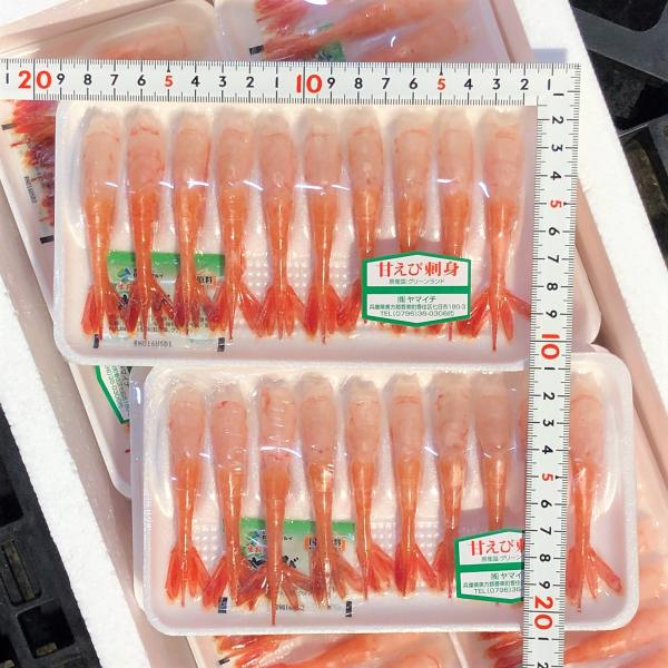 【刺身用】むき甘エビ〈無頭〉小　１０尾パック