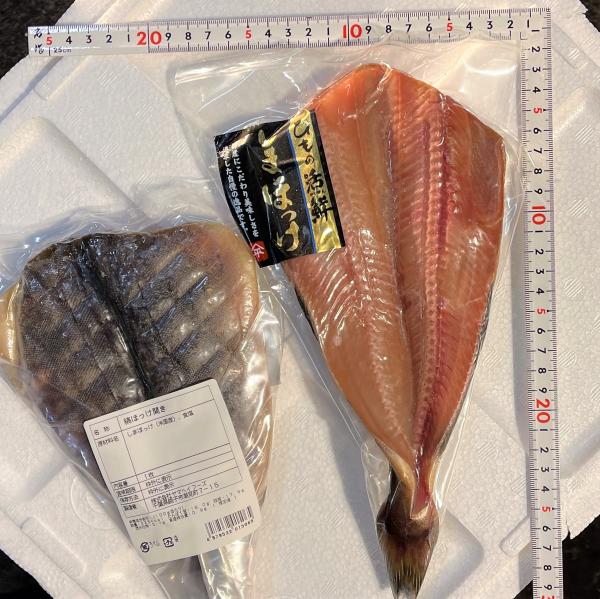 【一夜干し】縞ほっけ開き〈真空パック〉約300ｇ/15尾入り　