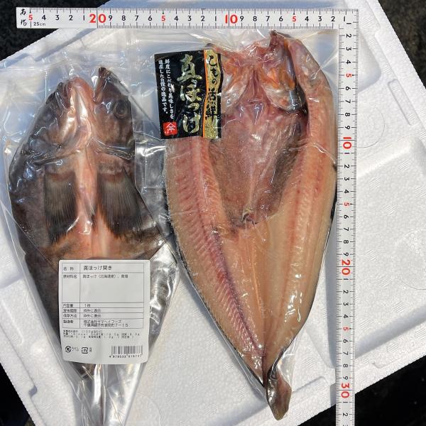 【一夜干し】真ほっけ開き〈真空パック〉約280ｇ/15尾入り　