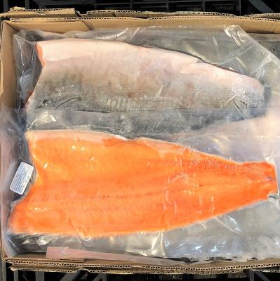 �y���H�z����t�B���q�g�����b�r8-9��/10kg�i��1.2Kg/���j