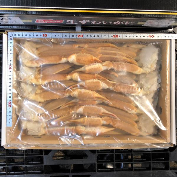 【ニッスイ】冷凍生本ズワイガニ〈立替品〉４L（８肩）/３kg