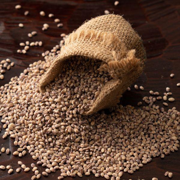 ダイシもち麦[もち品種・香川県産]小分け／ジップ付真空パック