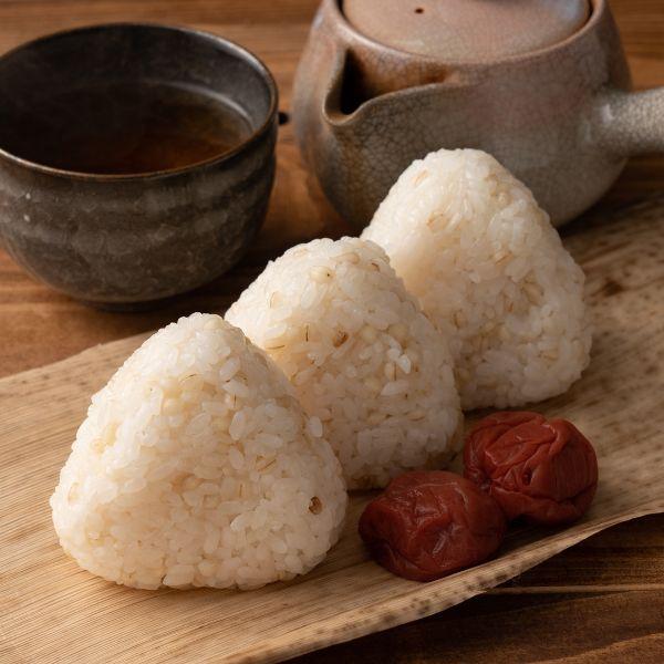 丸麦[うるち品種]　香川県産5kg（1kgx5袋）　