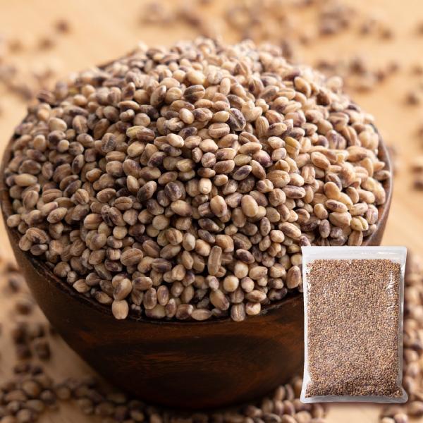 �_�C�V������[�����i��E���쌧�Y]�������^�W�b�v�t�^��p�b�N