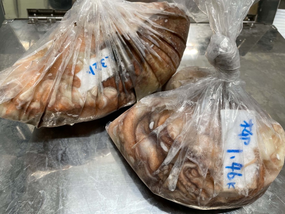 【岩手県産】冷凍・ヤナギダコ（柳たこ）※1杯約2kg【液体凍結】
