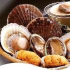 �X�܎ʐ^�E���S