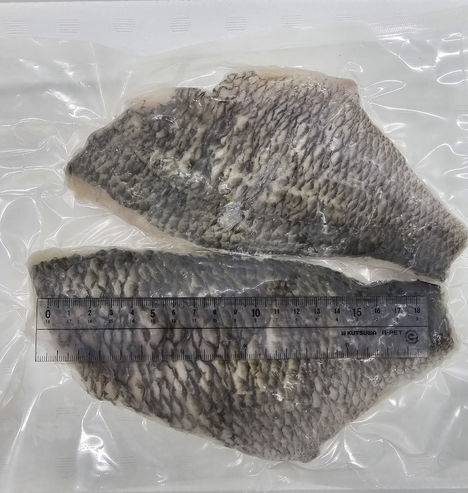 江戸前　瞬間冷凍クロダイ切り身　刺身におすすめ