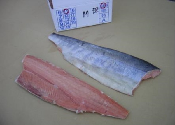 【国内産】秋鮭フィレー　10kg　1特