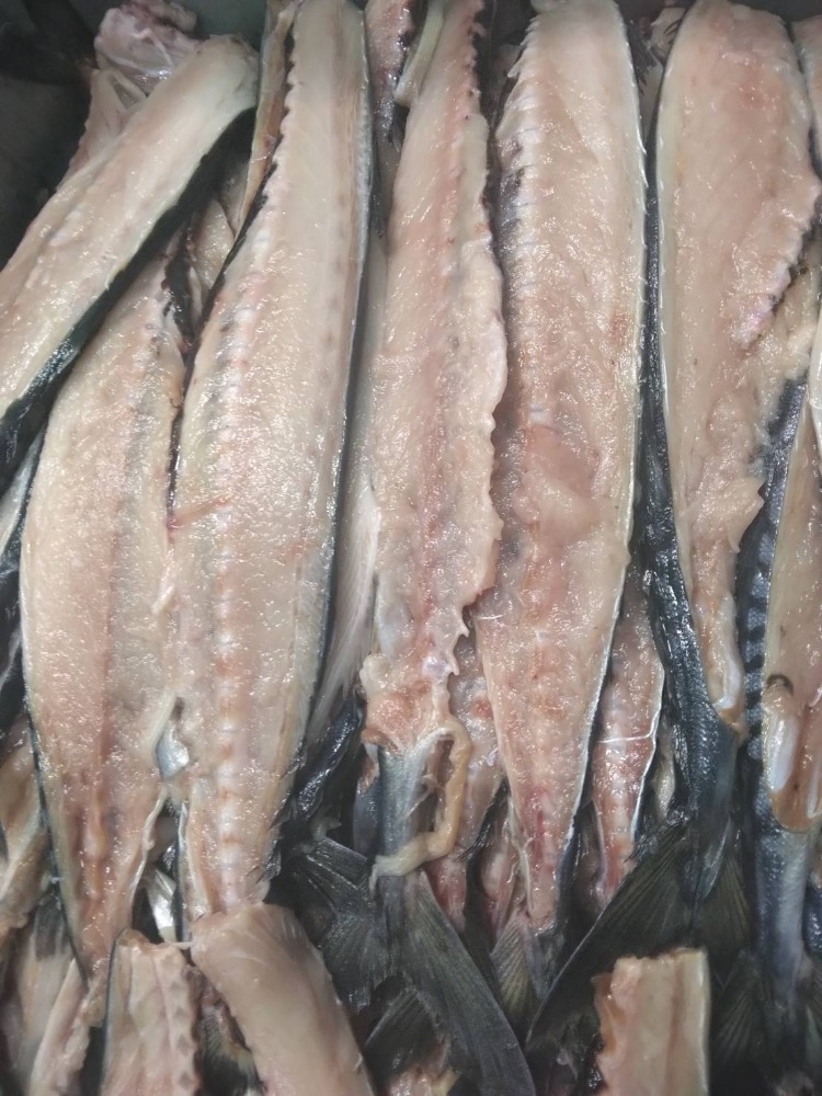 【ノルウェー産】加工原料　サバフィレーの中骨　