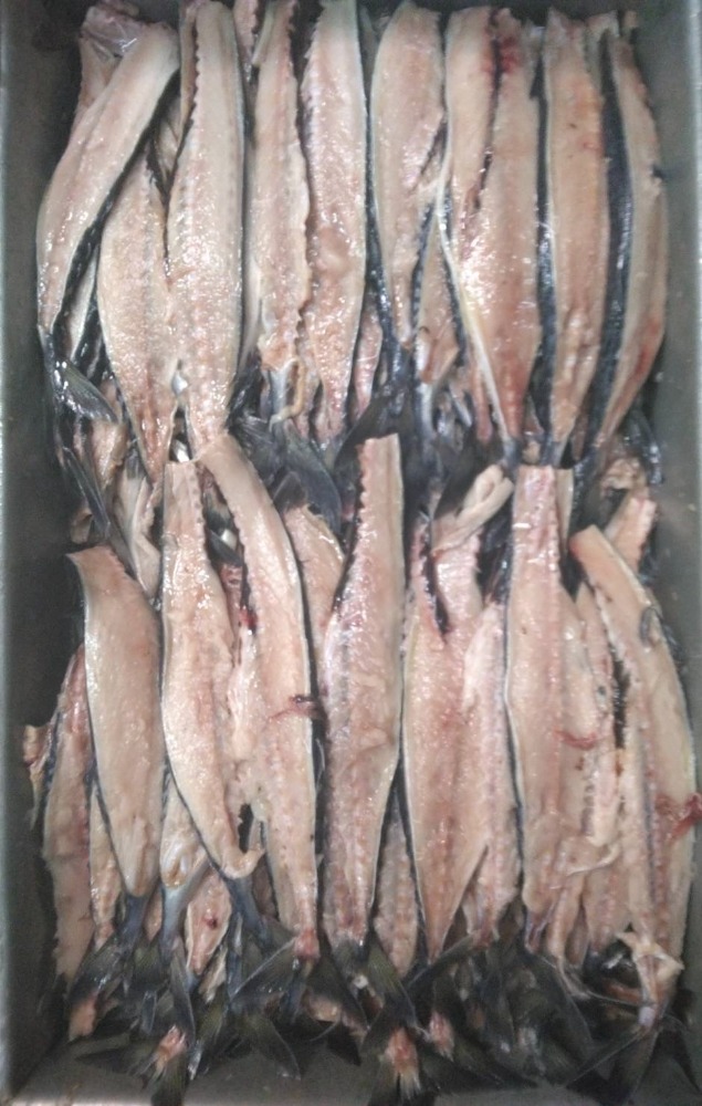 【ノルウェー産】加工原料　サバフィレーの中骨　