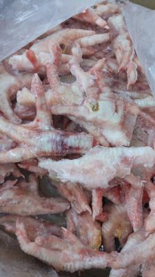 ���Y�{���݂�